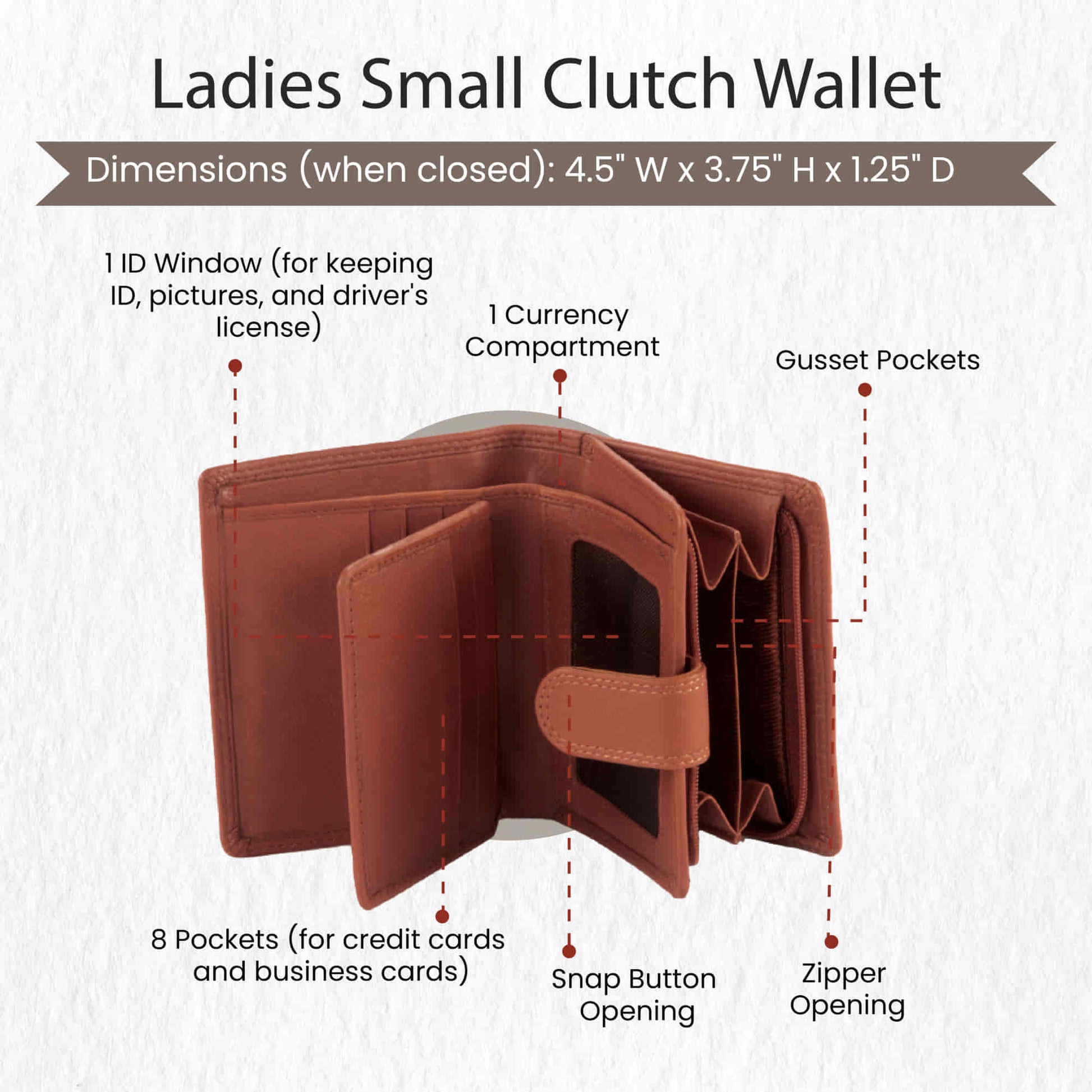 Style n Craft 300952-CG Small Clutch Wallet for Ladies in Leather in tan color - open view showing the details